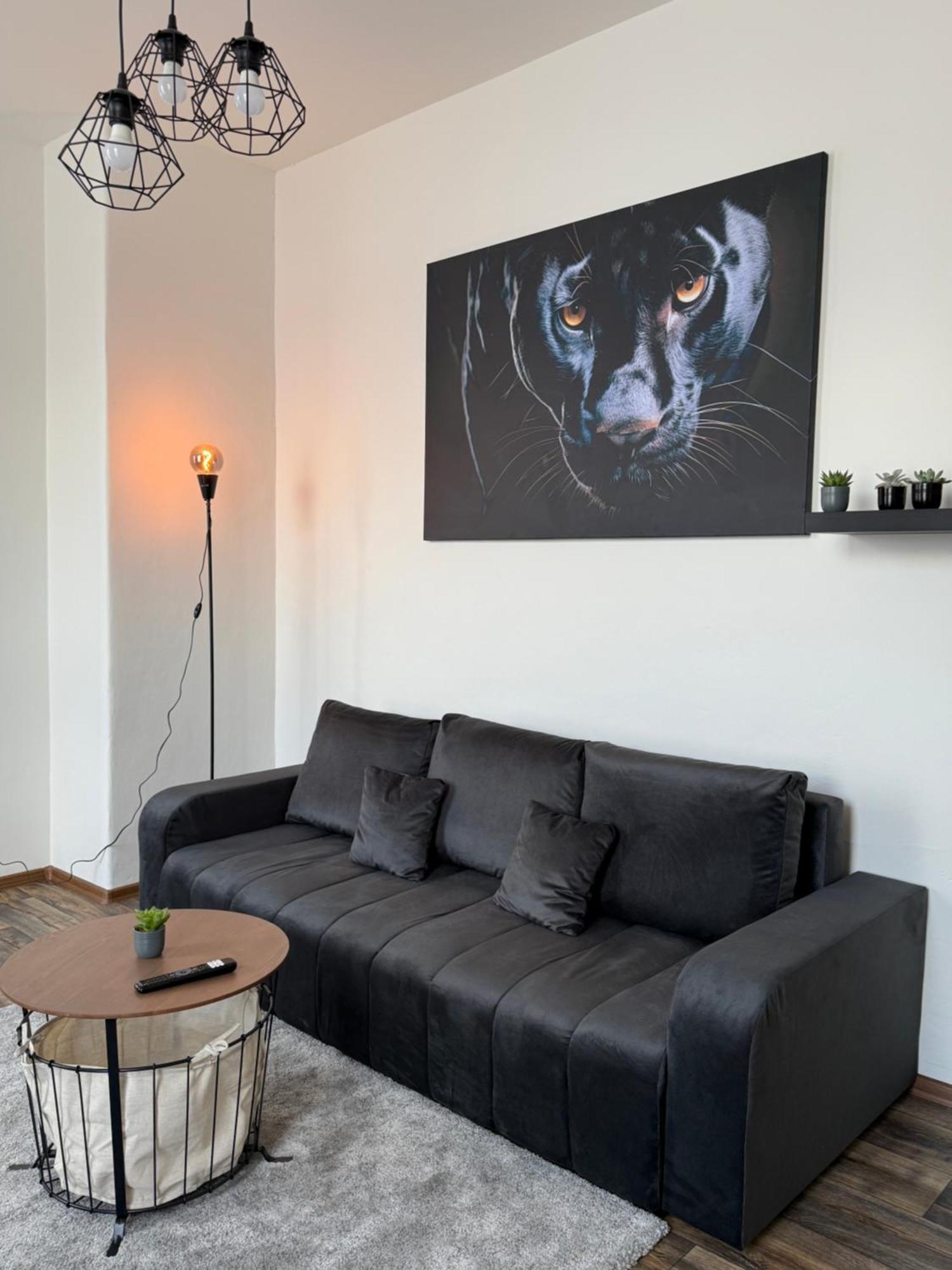 Apartman 파르두비체 외부 사진